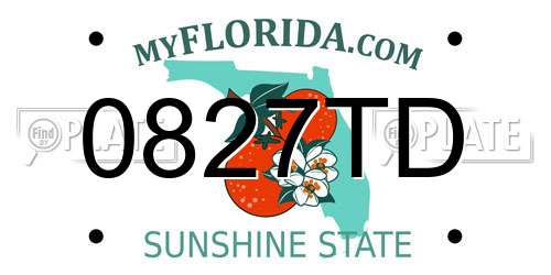0827TD Florida License Plate