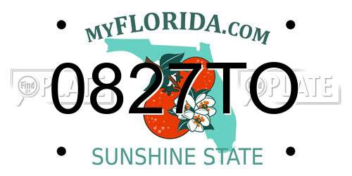 0827TO Florida License Plate