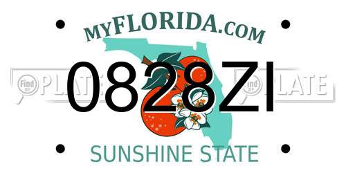0828ZI Florida License Plate
