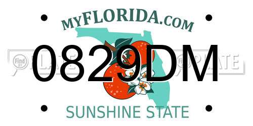 0829DM Florida License Plate