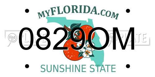 0829OM Florida License Plate