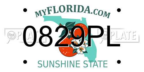 0829PL Florida License Plate