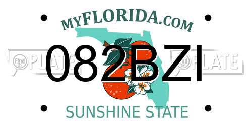 082BZI Florida License Plate