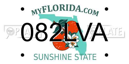082LVA Florida License Plate