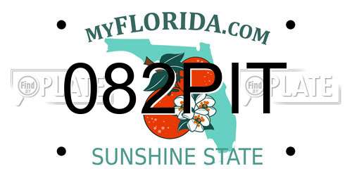 082PIT Florida License Plate