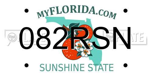 082RSN Florida License Plate