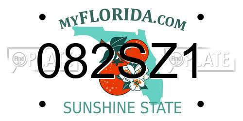 082SZ1 Florida License Plate