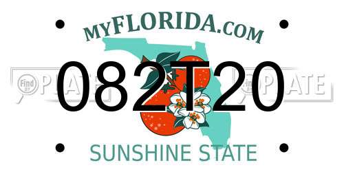 082T20 Florida License Plate
