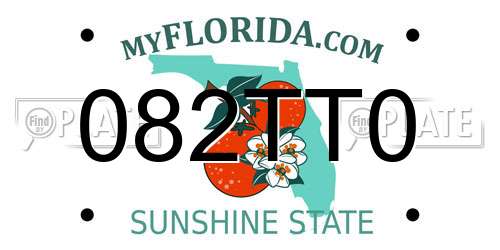 082TT0 Florida License Plate