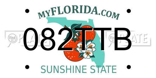 082TTB Florida License Plate