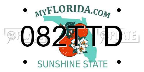 082TTD Florida License Plate