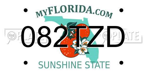 082TZD Florida License Plate