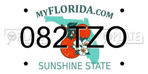 082TZO Florida License Plate