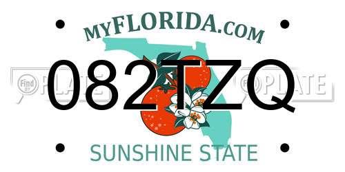 082TZQ Florida License Plate
