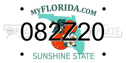 082Z20 Florida License Plate