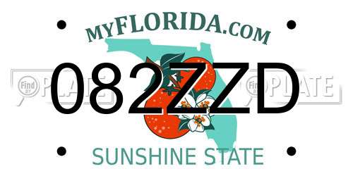 082ZZD Florida License Plate