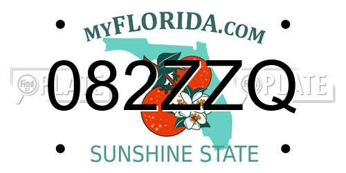 082ZZQ Florida License Plate