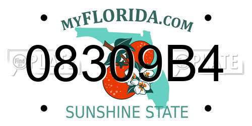 08309B4 Florida License Plate