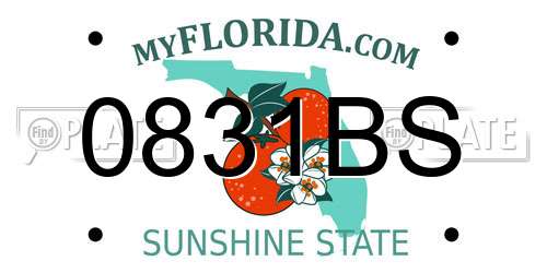 0831BS Florida License Plate