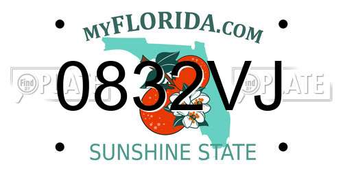 0832VJ Florida License Plate