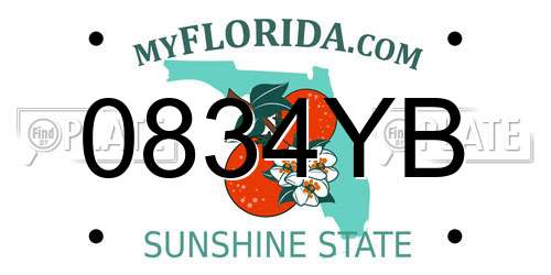 0834YB Florida License Plate
