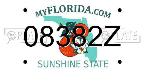 08382Z Florida License Plate