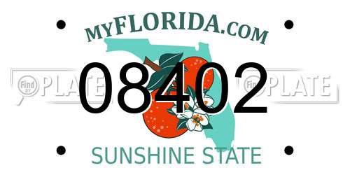 08402 Florida License Plate