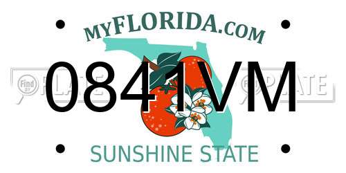 0841VM Florida License Plate