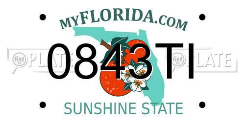0843TI Florida License Plate