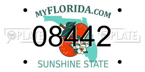08442 Florida License Plate