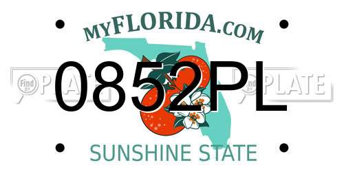 0852PL Florida License Plate