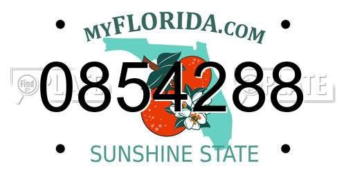 0854288 Florida License Plate