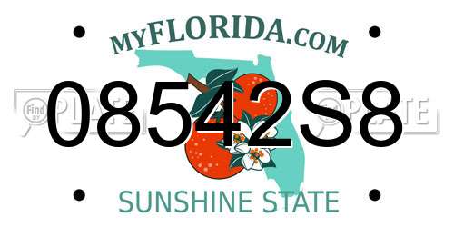 08542S8 Florida License Plate