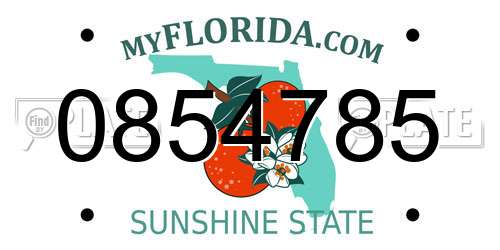 0854785 Florida License Plate