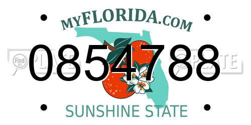 0854788 Florida License Plate
