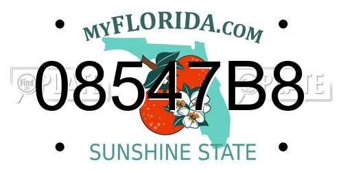 08547B8 Florida License Plate