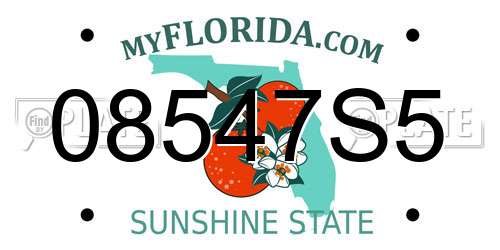 08547S5 Florida License Plate