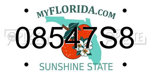 08547S8 Florida License Plate