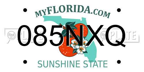 085NXQ Florida License Plate
