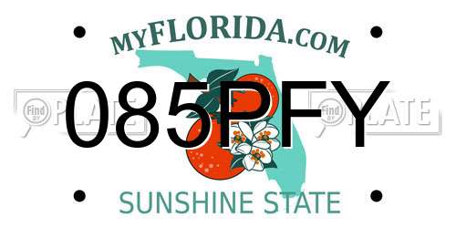 085PFY Florida License Plate