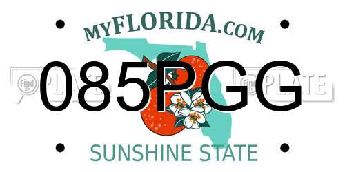 085PGG Florida License Plate