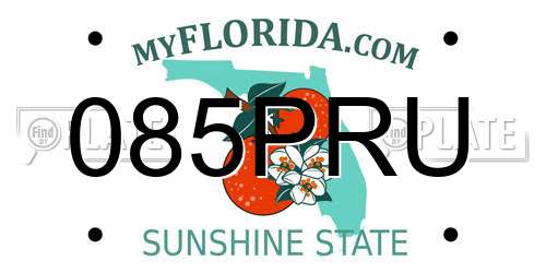 085PRU Florida License Plate