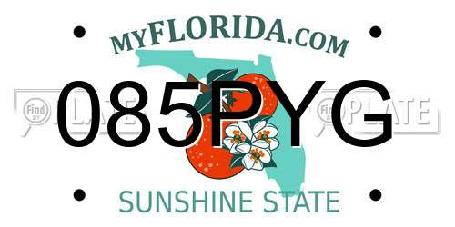 085PYG Florida License Plate