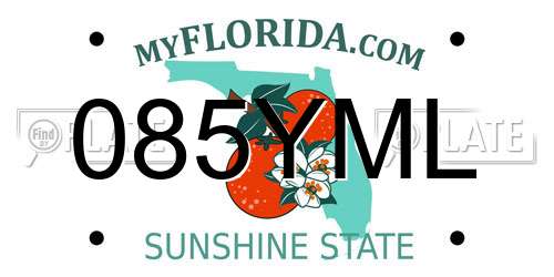 085YML Florida License Plate