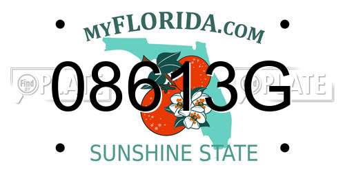 08613G Florida License Plate