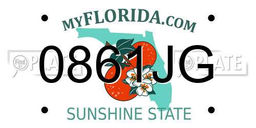 0861JG Florida License Plate