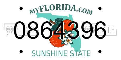 0864396 Florida License Plate