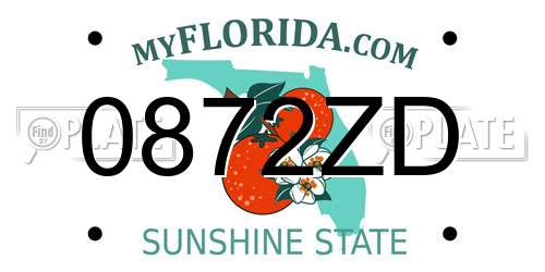 0872ZD Florida License Plate