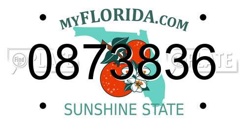 0873836 Florida License Plate