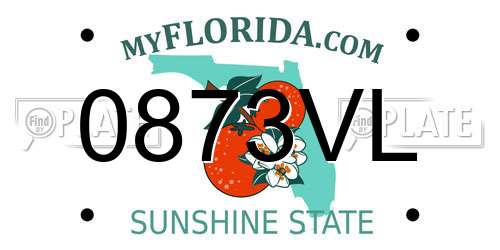 0873VL Florida License Plate